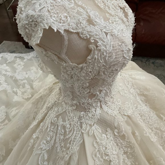 Demetrios Wedding Dress - Picture 4 of 16